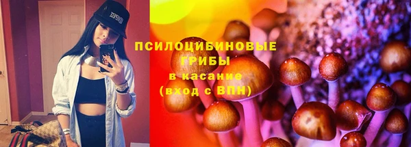МДПВ Аркадак